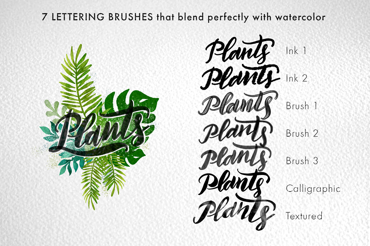 Watercolor Lettering Kit, a Brush Add-On by Letter Elfa Studio (Photo 4 of 11)