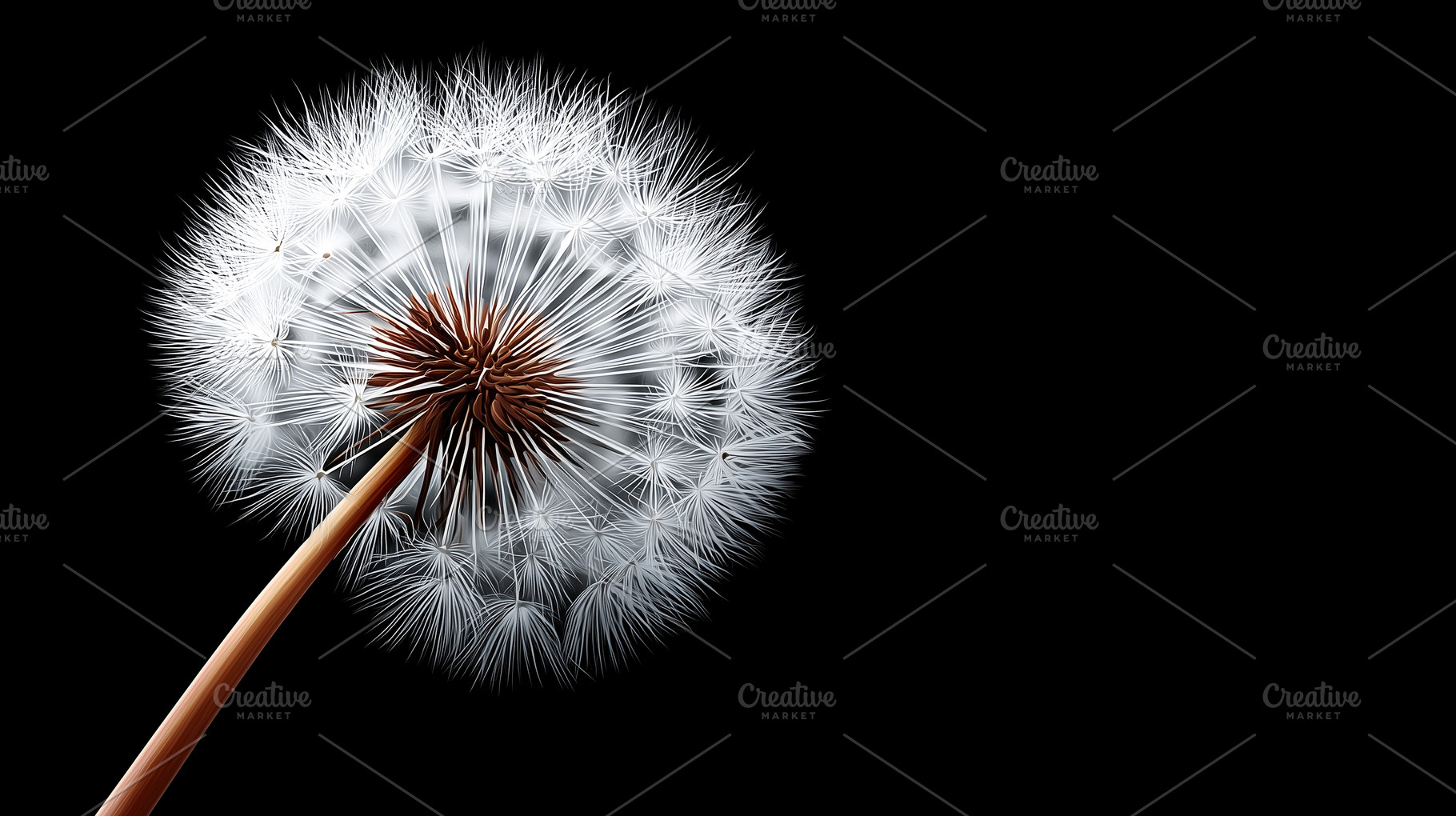 Close up of a dandelion against, a Nature Photo by MistyDay