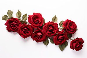 Red roses on white background, a Nature Photo by AlyaAnd