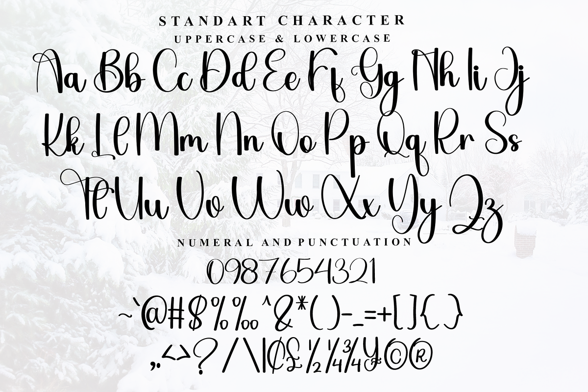 Beauty, a Handwritten Font by FreshTypeINK (Photo 5 of 7)