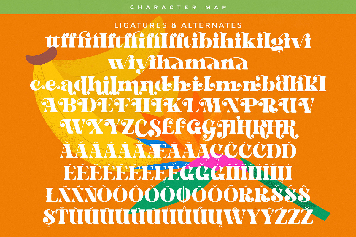 Bright Fresh Bold Retro Serif, a Serif Font by timelesstype.co (Photo 19 of 20)