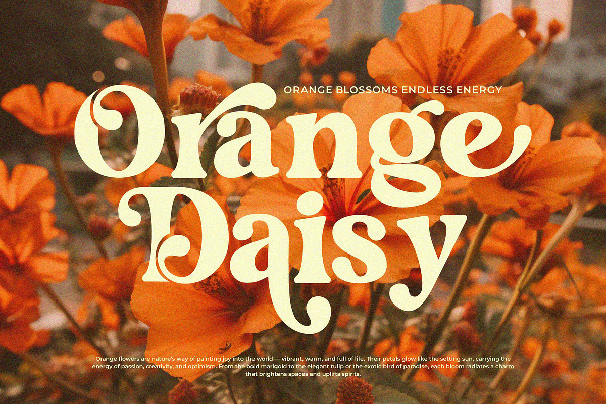 Slikren || Vintage Retro Serif Font, a Serif Font by Ermedia Studio (Photo 3 of 10)