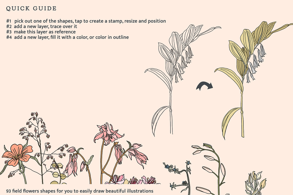 Procreate Stamps Wildflowers, a Brush Add-On by Pink Studio Art