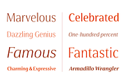 Cabrito Flare, a Sans Serif Font by insigne (Thumbnail 4 of 6)