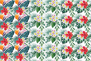 Tropical plants set, an Illustration by Watercolor life (Thumbnail 12 of 13)
