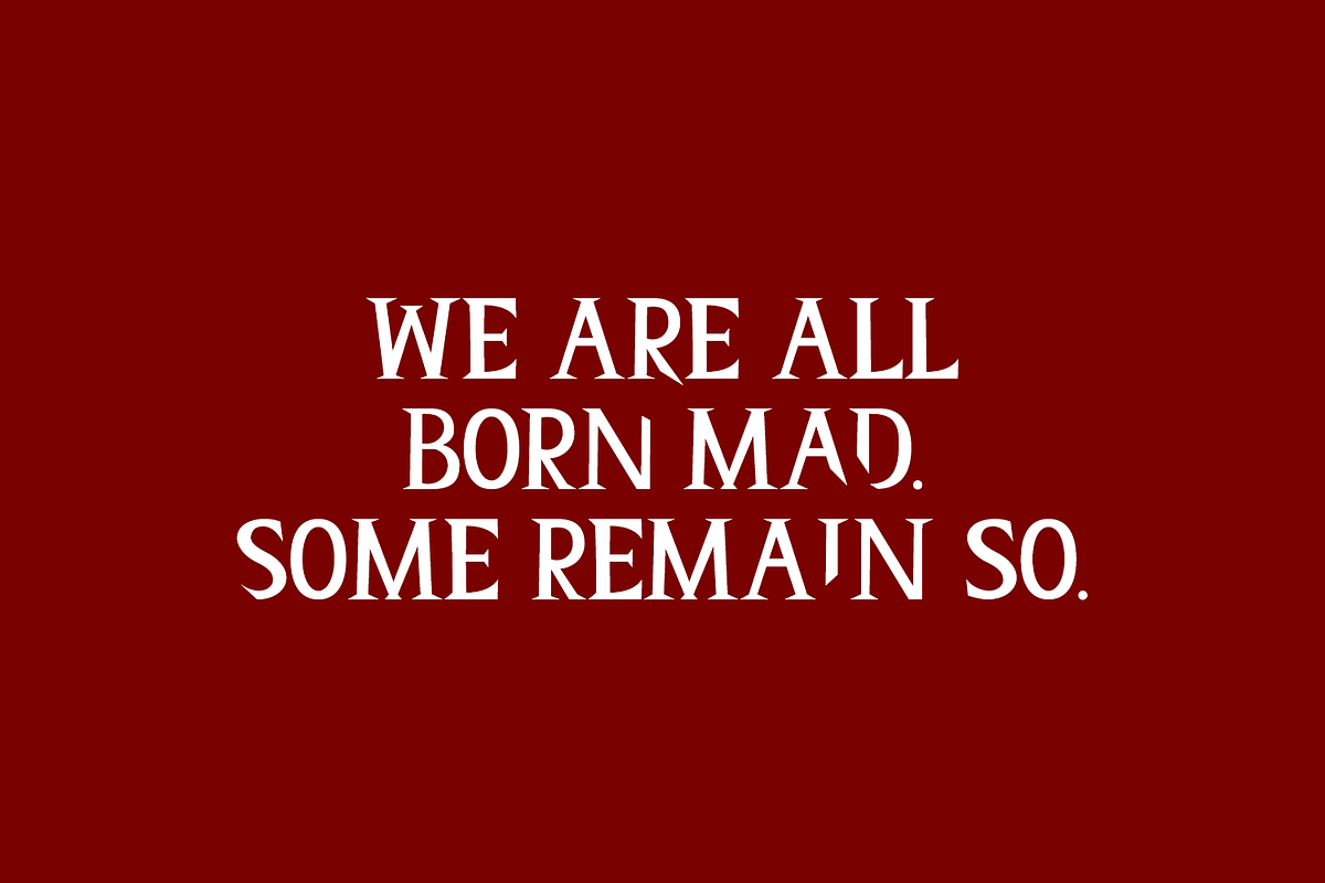 Homicidal Serif Font, a Serif Font by Beck McCormick (Photo 2 of 10)
