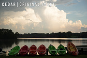 CEDAR LIGHTROOM PRESETS, an Action Add-On by Josh Zaring Studios (Thumbnail 12 of 20)