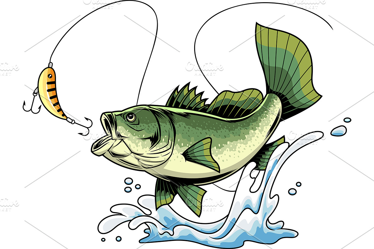 Funny Bass Fish Cartoon Character, an Illustration by HitToon
