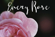 Shaktira Font, a Script Font by Zmapist (Thumbnail 3 of 4)