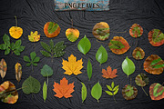 WOODY Texture Photoshop Styles KIT, a Layer Style Add-On by Graphic Spirit (Thumbnail 11 of 14)