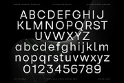 Reflow Sans | Modern & Geometric, a Sans Serif Font by Lettertype Studio (Thumbnail 9 of 15)