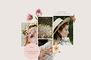 Wildflower Tiny Bright florals, a Decorative Illustration by Grace Noboa Illustrations (Thumbnail 2 of 11)