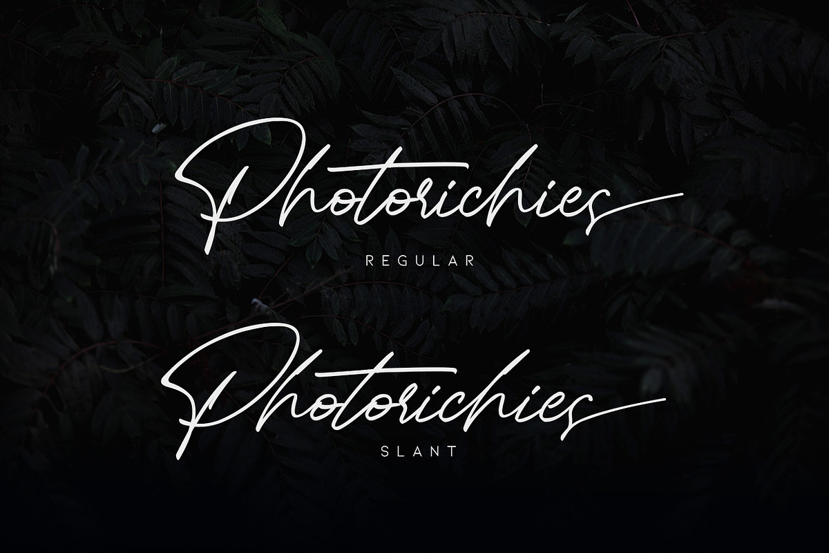 Photoricies - Photographer Script, a Script Font by Almarkhatype (Photo 13 of 14)