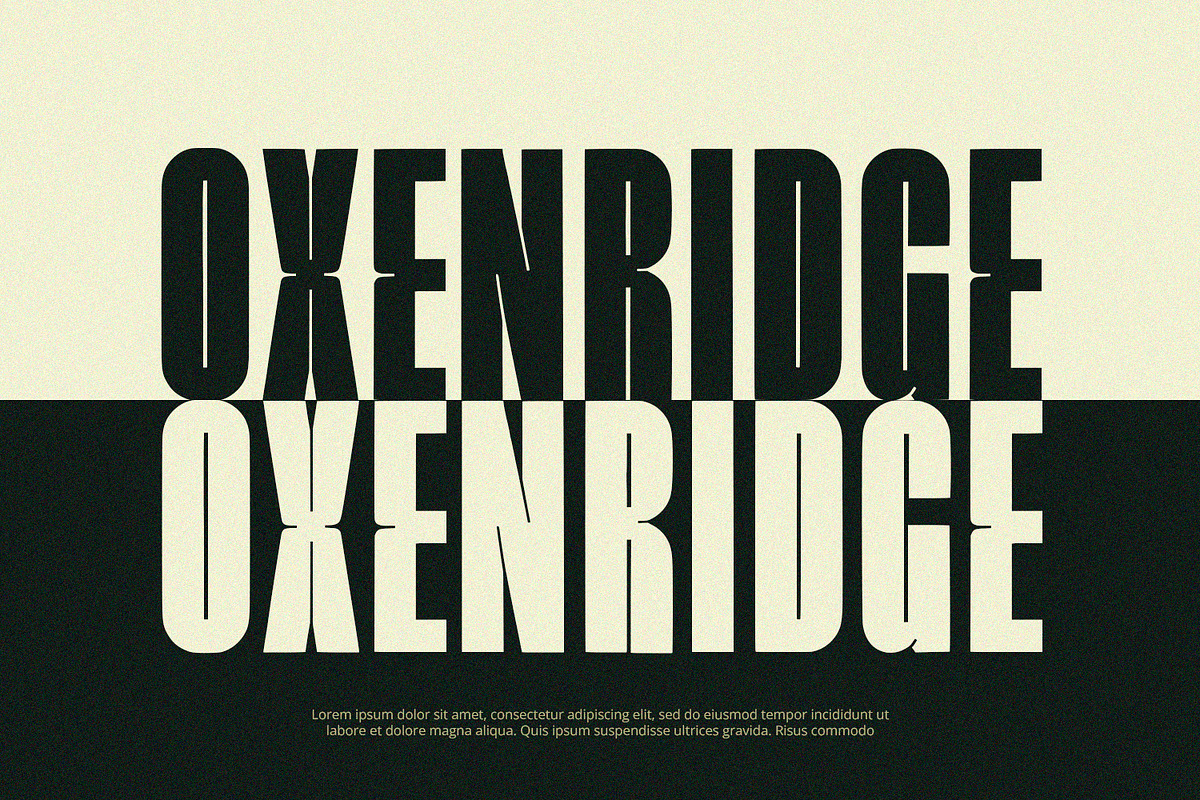 Bellmiora - Display Font, a Script Font by Alpaprana (Photo 2 of 9)