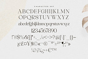 Asthelica Questak Modern Font Duo, a Serif Font by Storytype Studio (Thumbnail 13 of 15)