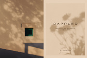 Dappled - Botanical Shadow Overlays, a Texture Graphic by alonahaidash (Thumbnail 1 of 16)