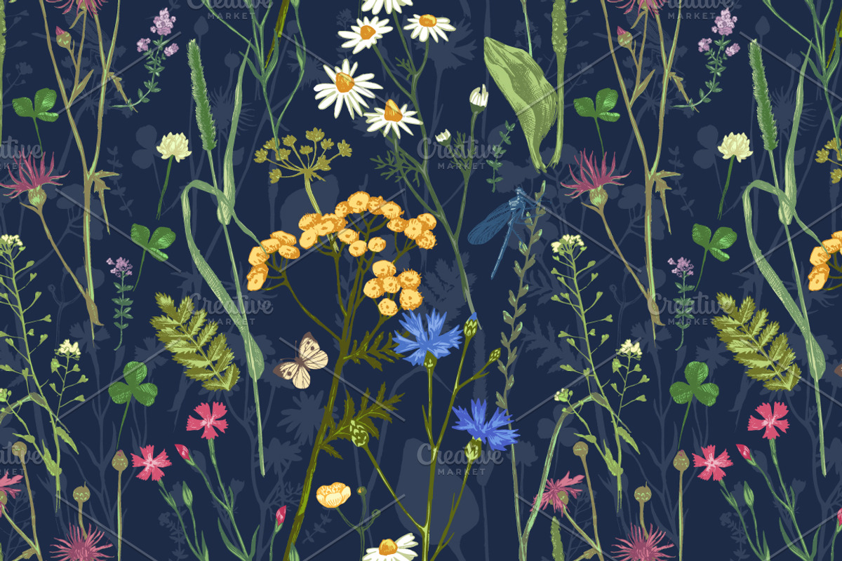 Meadow herbs and flowers, a Decorative Illustration by handsketched (Photo 3 of 7)