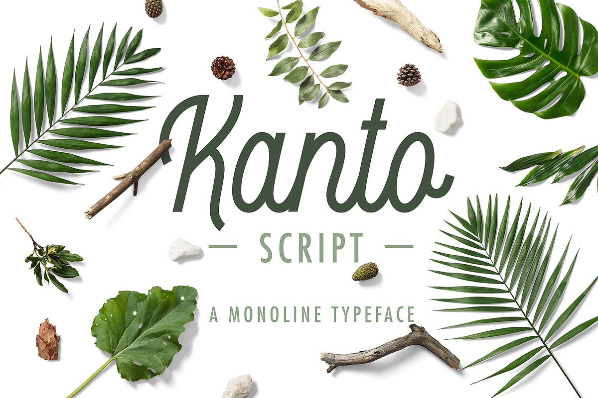 Kanto Script | A Monoline Typeface, a Script Font by Nicolas Fredrickson (Photo 10 of 10)