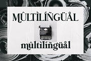 Rachel Brown, a Serif Font by Fargun Studio (Thumbnail 6 of 17)