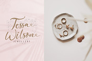 The Austin - Handwritten Script Font, a Script Font by StringLabs (Thumbnail 5 of 11)