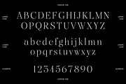 Dupioni Thin - Ligature Serif, a Serif Font by Silktype (Thumbnail 18 of 20)