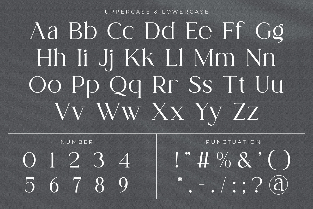 Pethra - Modern Serif Font, a Serif Font by Ermedia Studio (Photo 11 of 12)