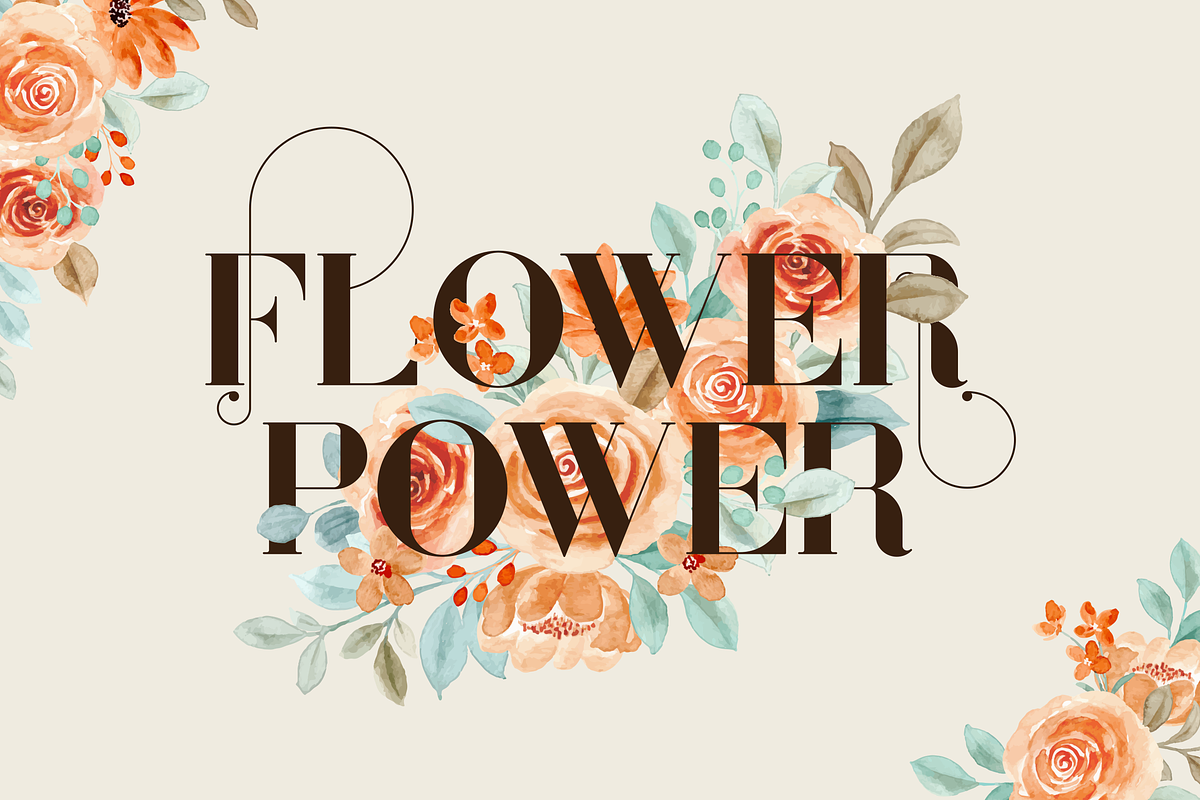 Sonder Serif Typeface - 5 weights, a Serif Font by VP Fonts (Photo 2 of 9)