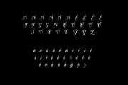 Dollarios - Calligraphy, a Script Font by INKSUN™ (Thumbnail 8 of 8)