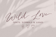 Script font Wild Love logos, a Script Font by Angele Kamp (Thumbnail 1 of 15)