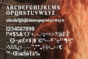 Aroma Baked Modern Serif Display, a Serif Font by timelesstype.co (Thumbnail 18 of 20)