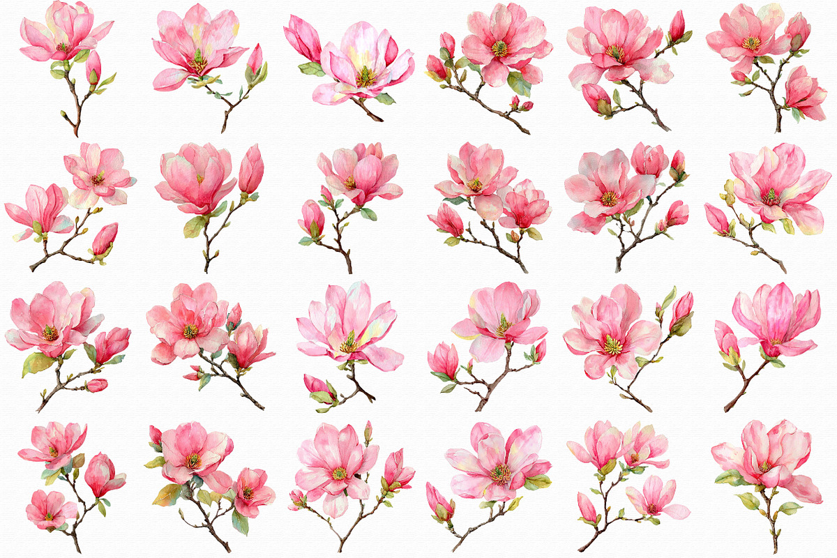 Watercolor Pink Magnolia clipart, an Illustration by Libby Wishes (Photo 7 of 7)
