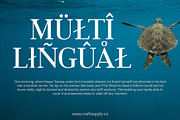 Jevale – Classic Serif, a Serif Font by Craft Supply Co. (Thumbnail 4 of 8)