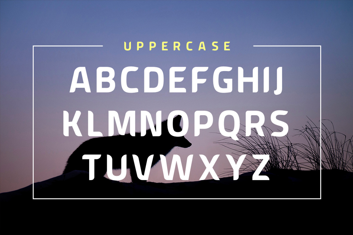 American Fox Font preview 2