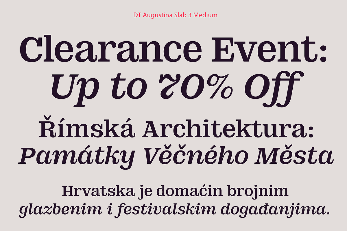 DT Augustina Slab 3 Subfamily, a Slab Serif Font by Deveze Type Foundry (Photo 9 of 31)