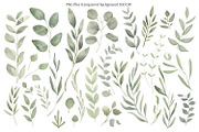 Everbloom Floral Collection, a Decorative Illustration by Anna Druzhkova (Thumbnail 5 of 22)