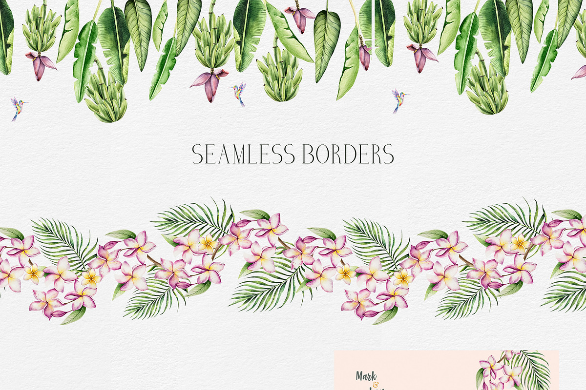 TROPICAL FOREST - Watercolor set, an Animal Illustration by Navenzeles (Photo 14 of 16)