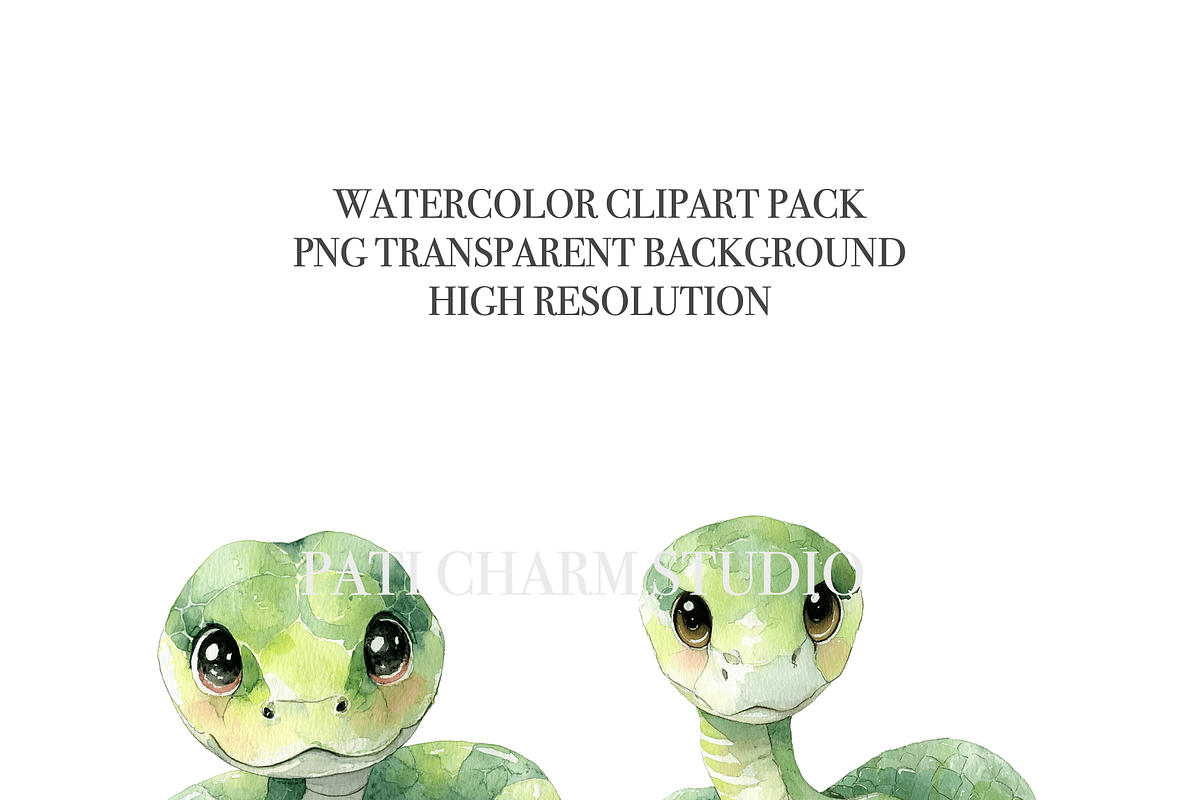 40 Cute Snake Clipart, an Animal Illustration by Pati Charm Studio (Photo 5 of 9)