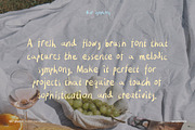 Alur Symphony Handwritten Brush Font, a Handwritten Font by Perplexitics (Thumbnail 8 of 10)