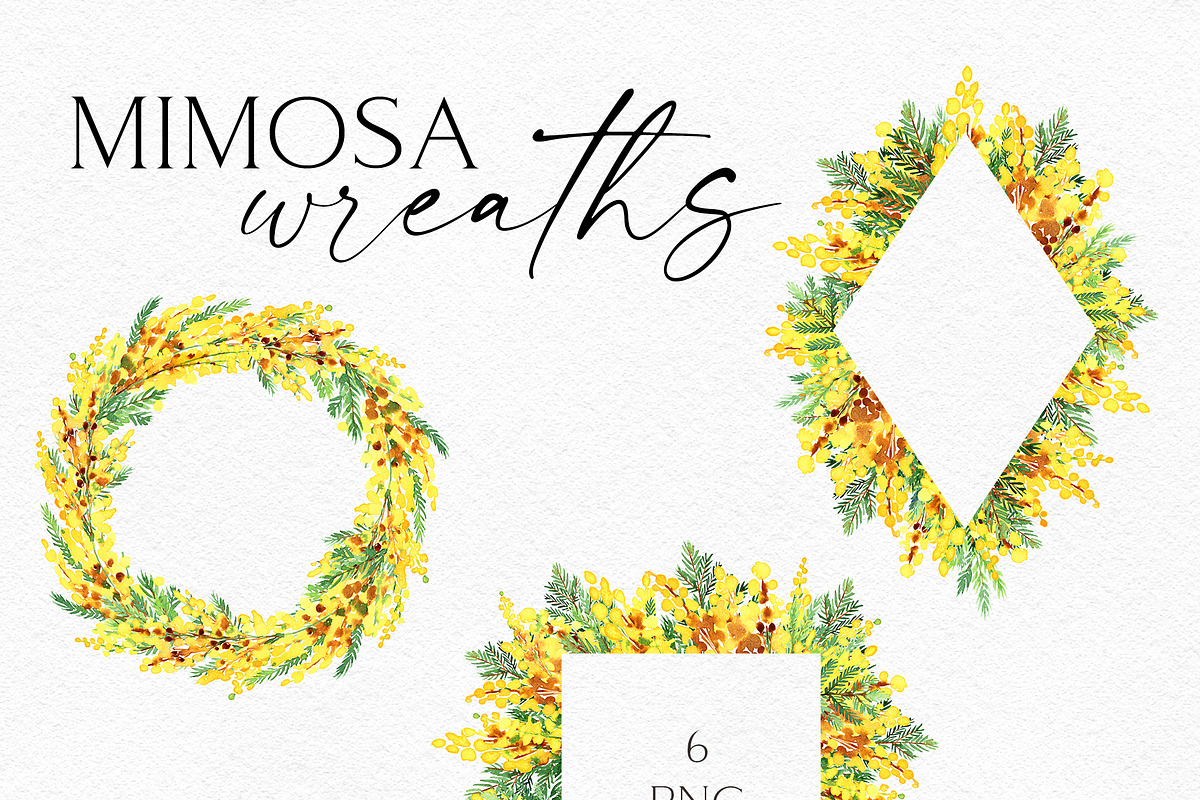 Yellow Mimosa Sunshine, an Illustration by Olga Koelsch (Photo 4 of 7)