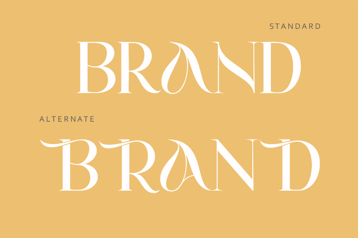 Aghisna Display, a Script Font by Typehill (Photo 9 of 12)