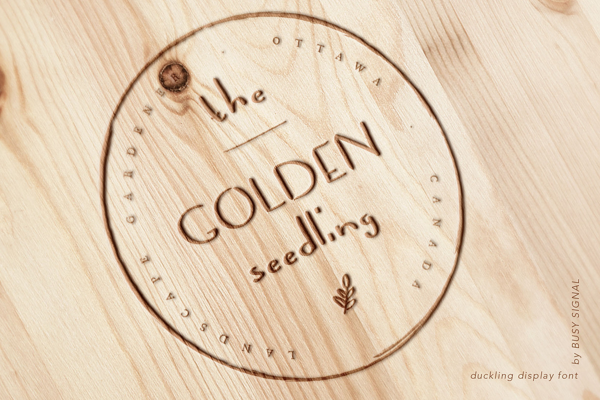 Duckling | Playful Display Font, a Font by BusySignal (Photo 3 of 6)