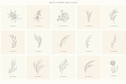 Birth-Flowers. Trendy Plants, Logos, a Seasonal Illustration by Designwork (Thumbnail 10 of 21)