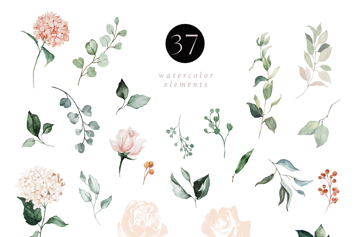 Clair & Blush - Summer Floral Set, an Illustration by studioequinox (Photo 3 of 14)