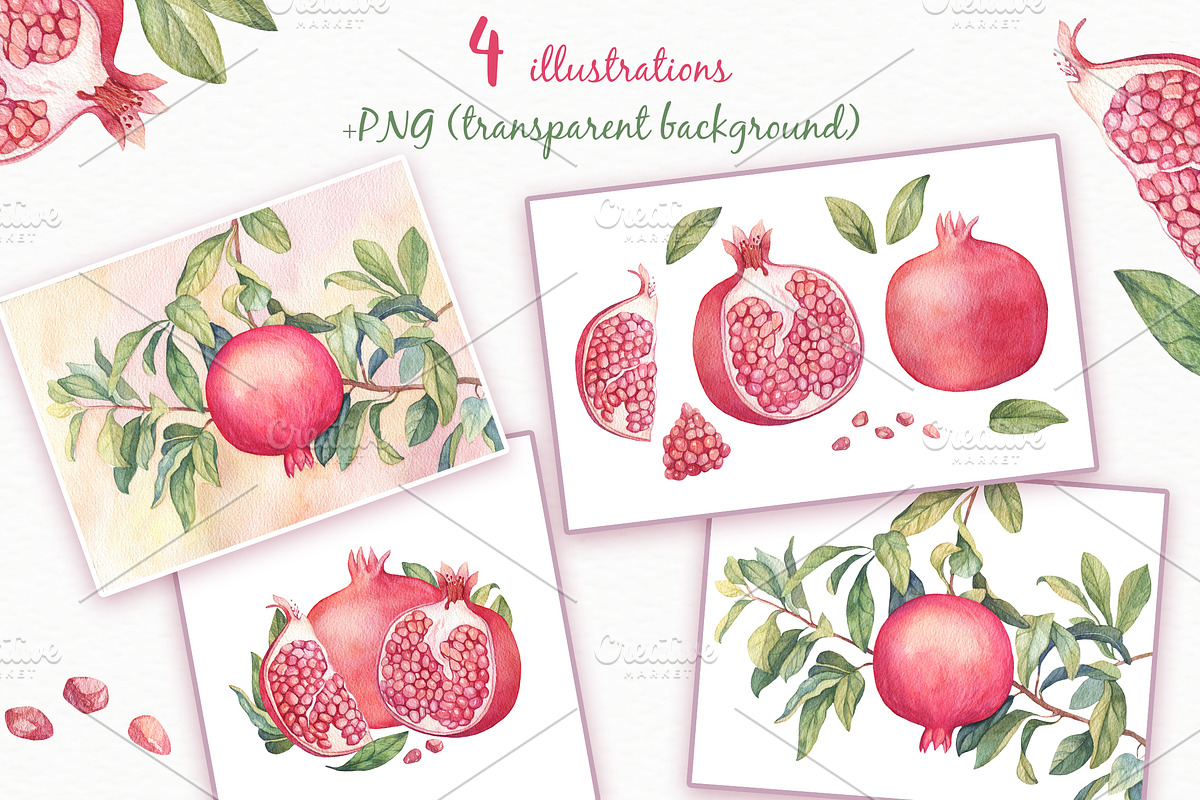 Watercolor Pomegranates, a Decorative Illustration by Irina Diasli (Photo 3 of 7)