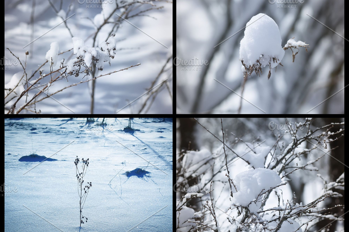 76 winter nature backgrounds, a Nature Photo by pictures for you (Photo 8 of 20)
