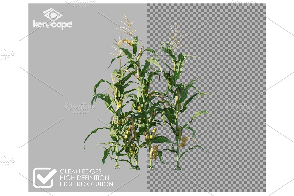 108 Farm Plants Photo Overlays, a Nature Photo by KenScape (Photo 2 of 4)