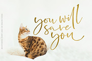 Boisterous Signature, a Script Font by Dhan Studio (Thumbnail 16 of 24)