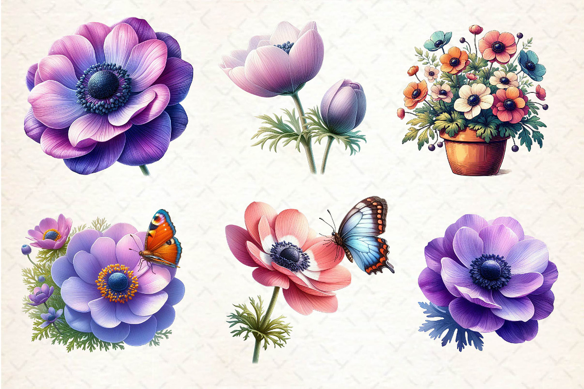 Anemone Flower Bloom Clipart, an Illustration by Dream Creation (Photo 6 of 6)