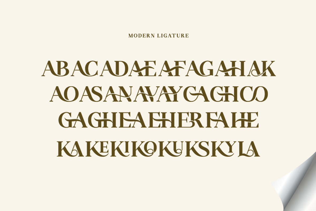 Gerdika, a Serif Font by Mantype Studio (Photo 14 of 14)