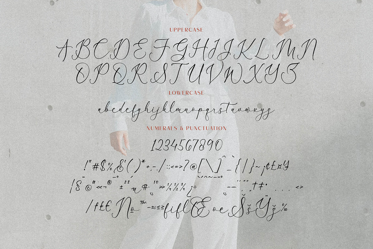 Veganzone Armstrong Modern Font Duo, a Serif Font by Storytype Studio (Photo 10 of 13)